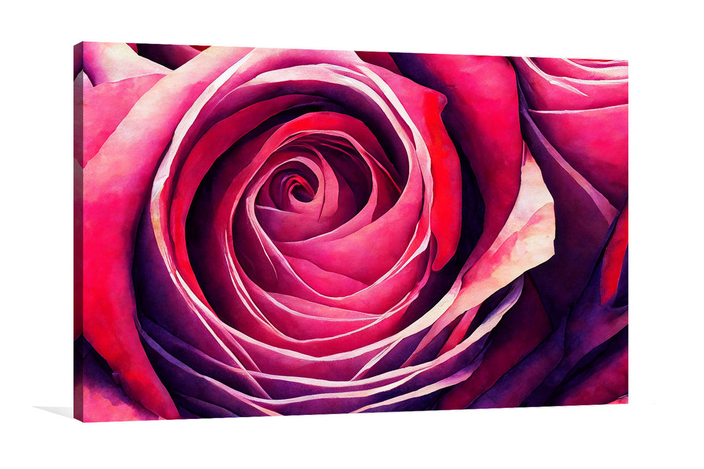 Velvety Fuchsia Rose