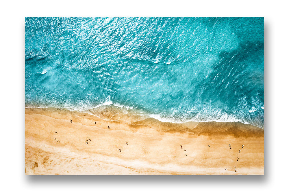Aerial view of the shore