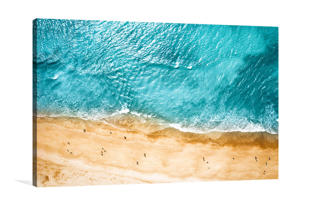 Aerial view of the shore