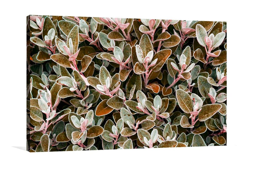 
                  
                    Canvas Art Brown leaves
                  
                