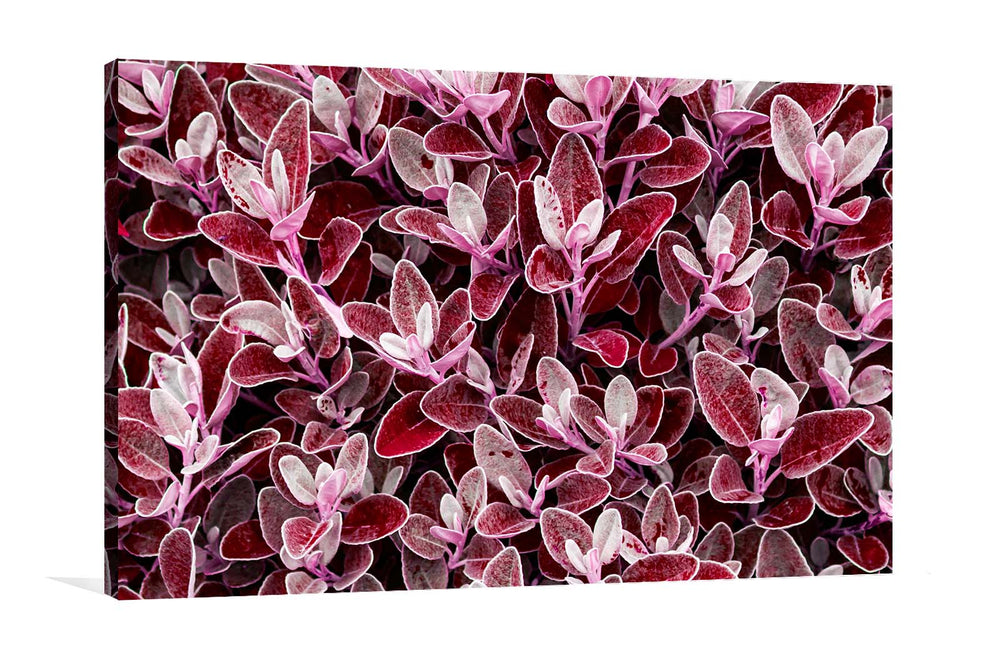 Purple leaves canvas wall art
