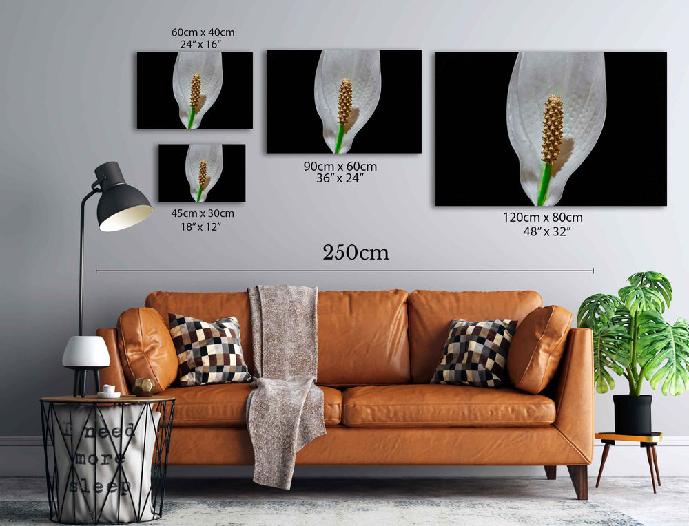 
                  
                    Peace Lilly Canvas Print
                  
                