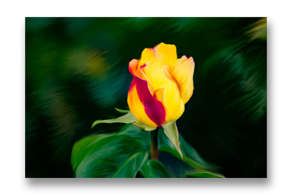 
                  
                    Digital Painting rose canvas
                  
                