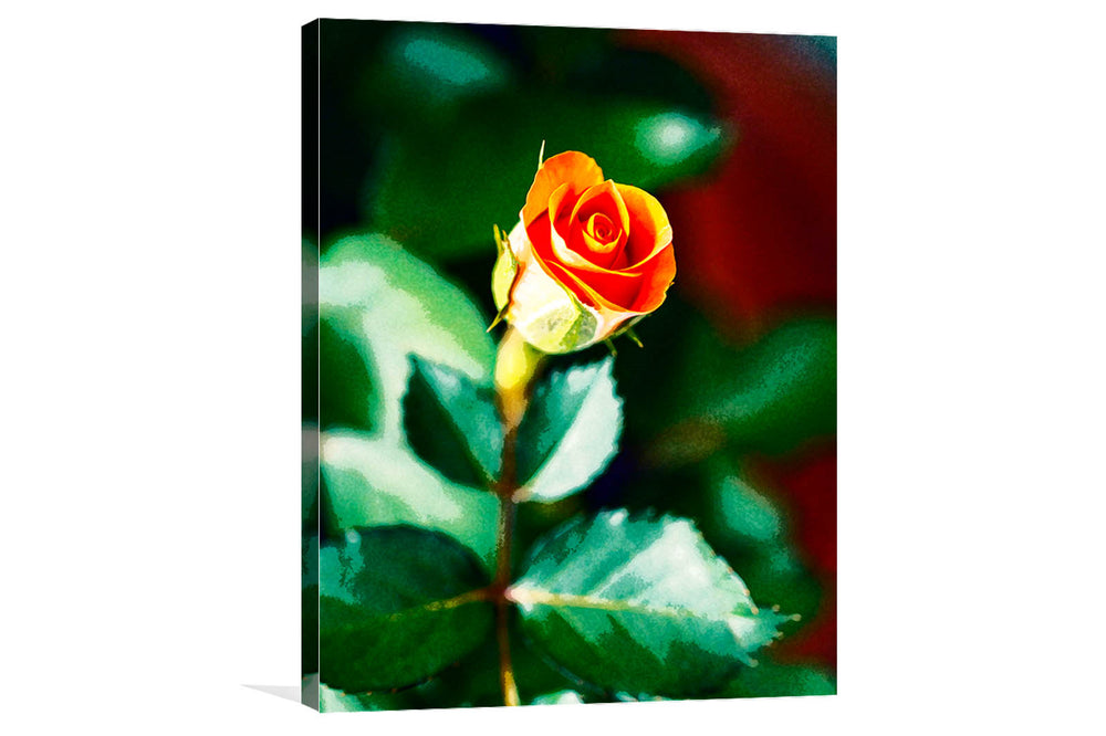 
                  
                    Rose flower digital art
                  
                