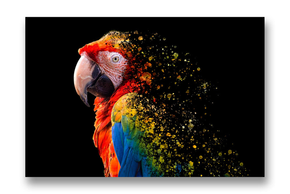 
                  
                    Scarlet Macaw Extinction Art
                  
                