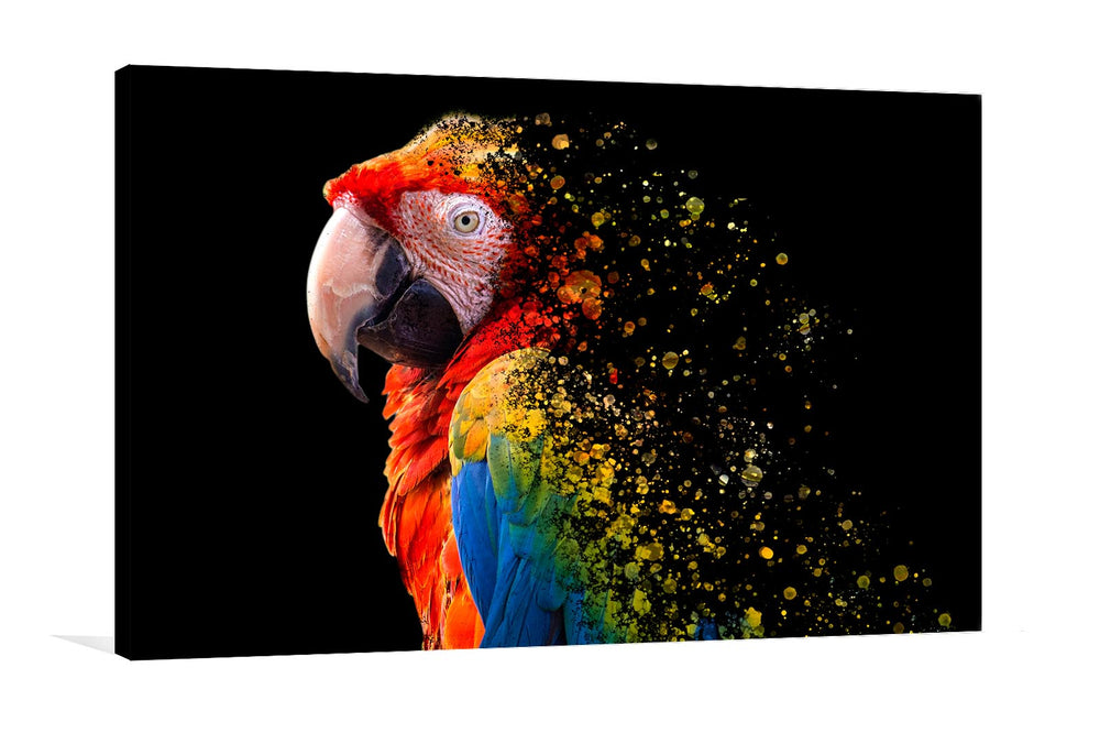 Scarlet Macaw Extinction Art