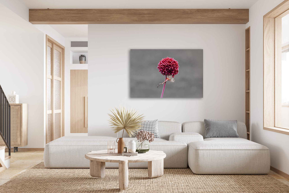 Allium Art