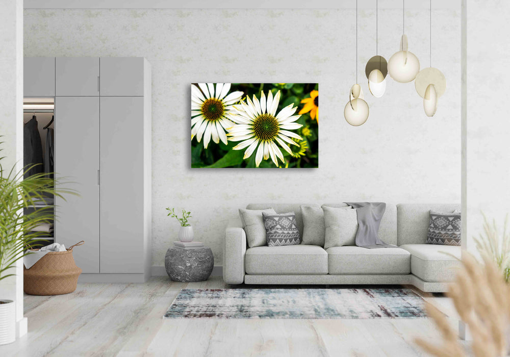 Coneflower Canvas Wall art In room view