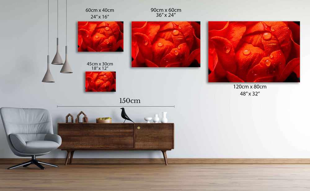 
                  
                    Water droplets on rose wall canvas art
                  
                