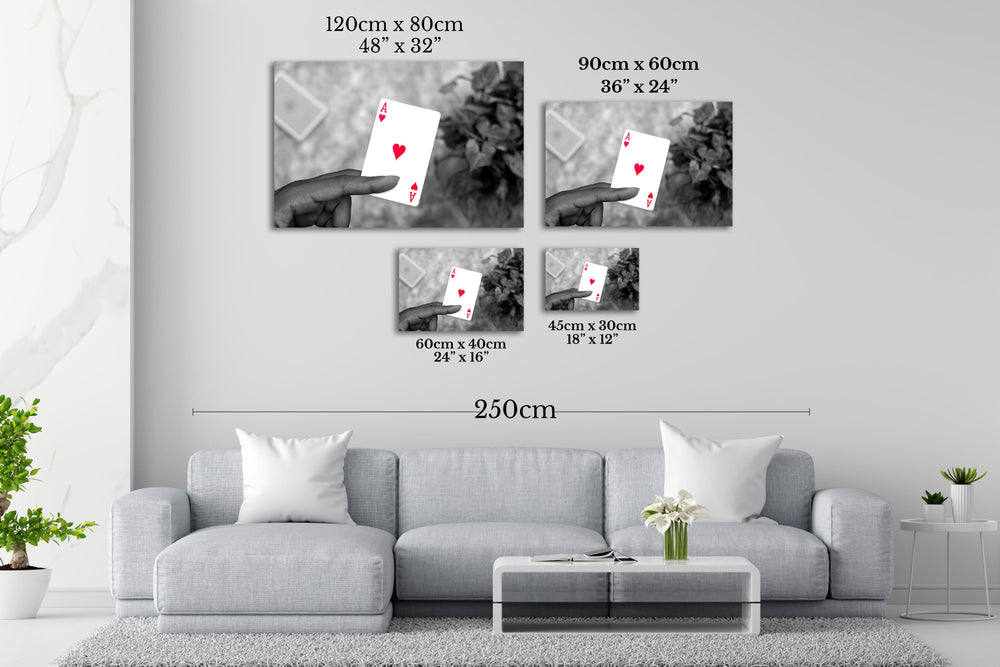 Ace of hearts photo prints