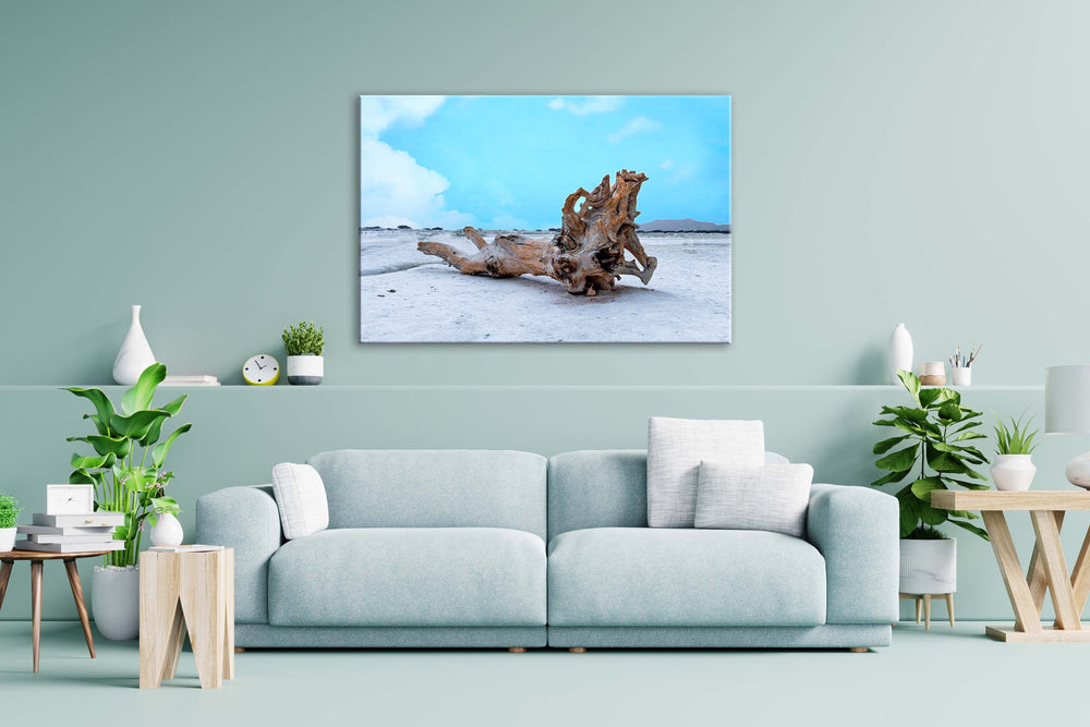 
                  
                    Drifted Tree Canvas and Acrylic Glass Photo Print
                  
                