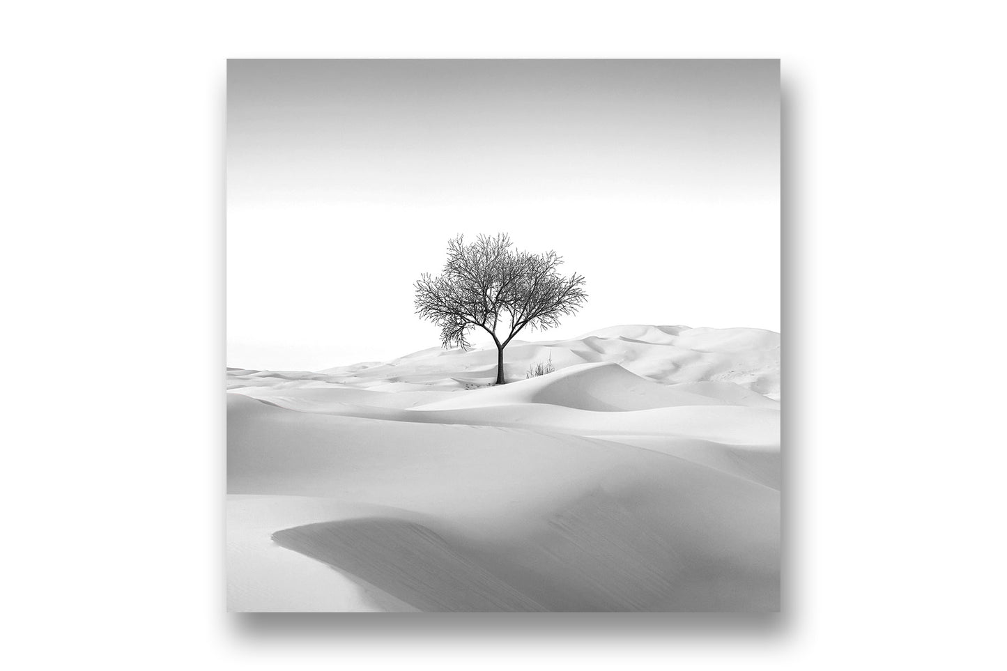 
                  
                    Desert photo canvas print
                  
                
