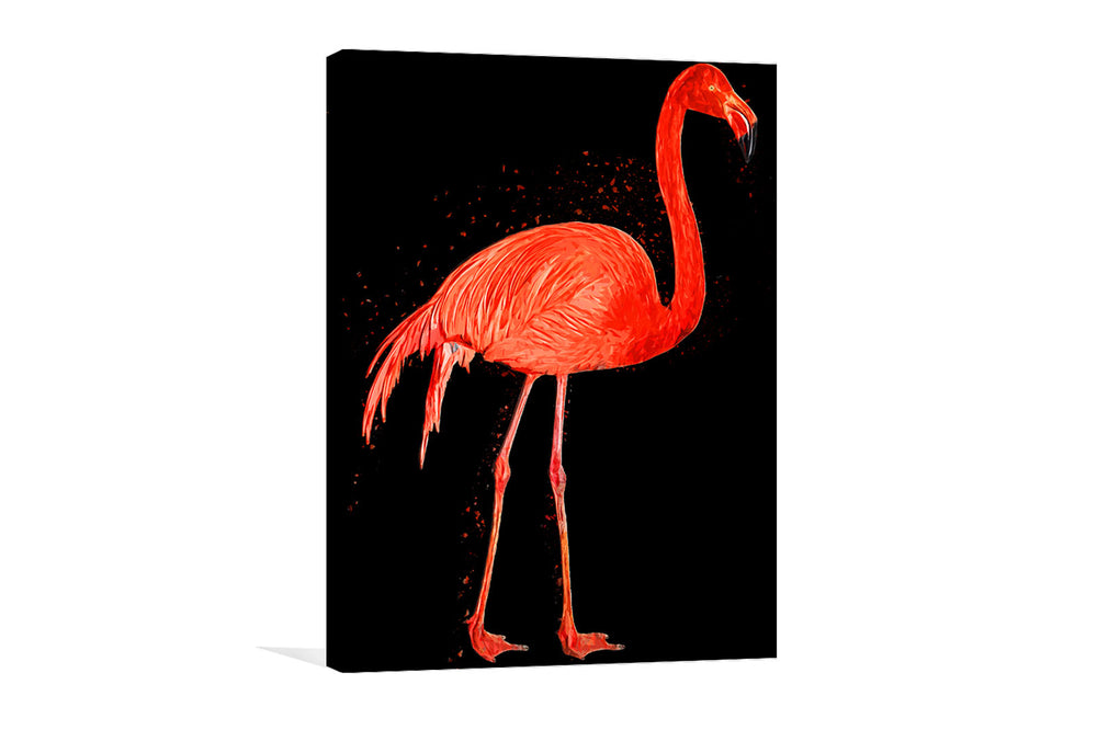 
                  
                    Flamingo Art Canvas and Acrylic Print
                  
                